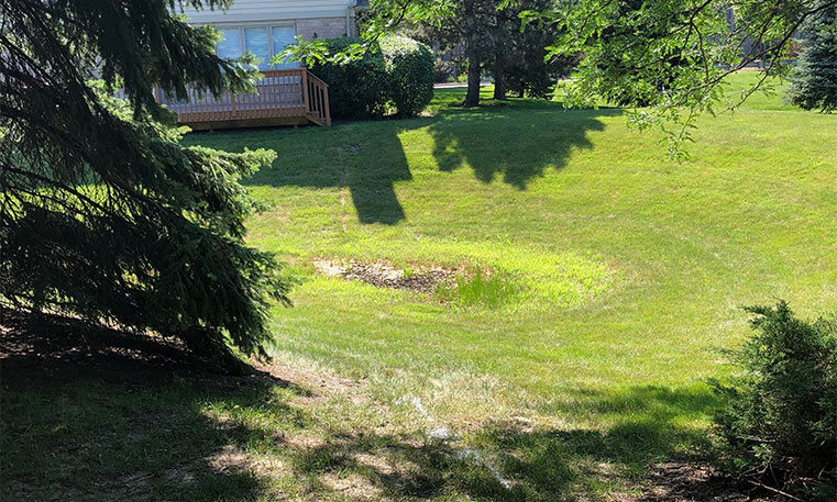 lawn of home before renovation