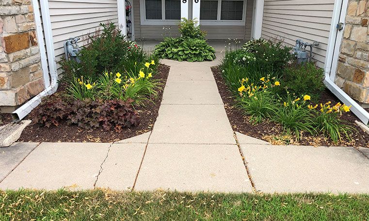 new sidewalk and plants in front of home